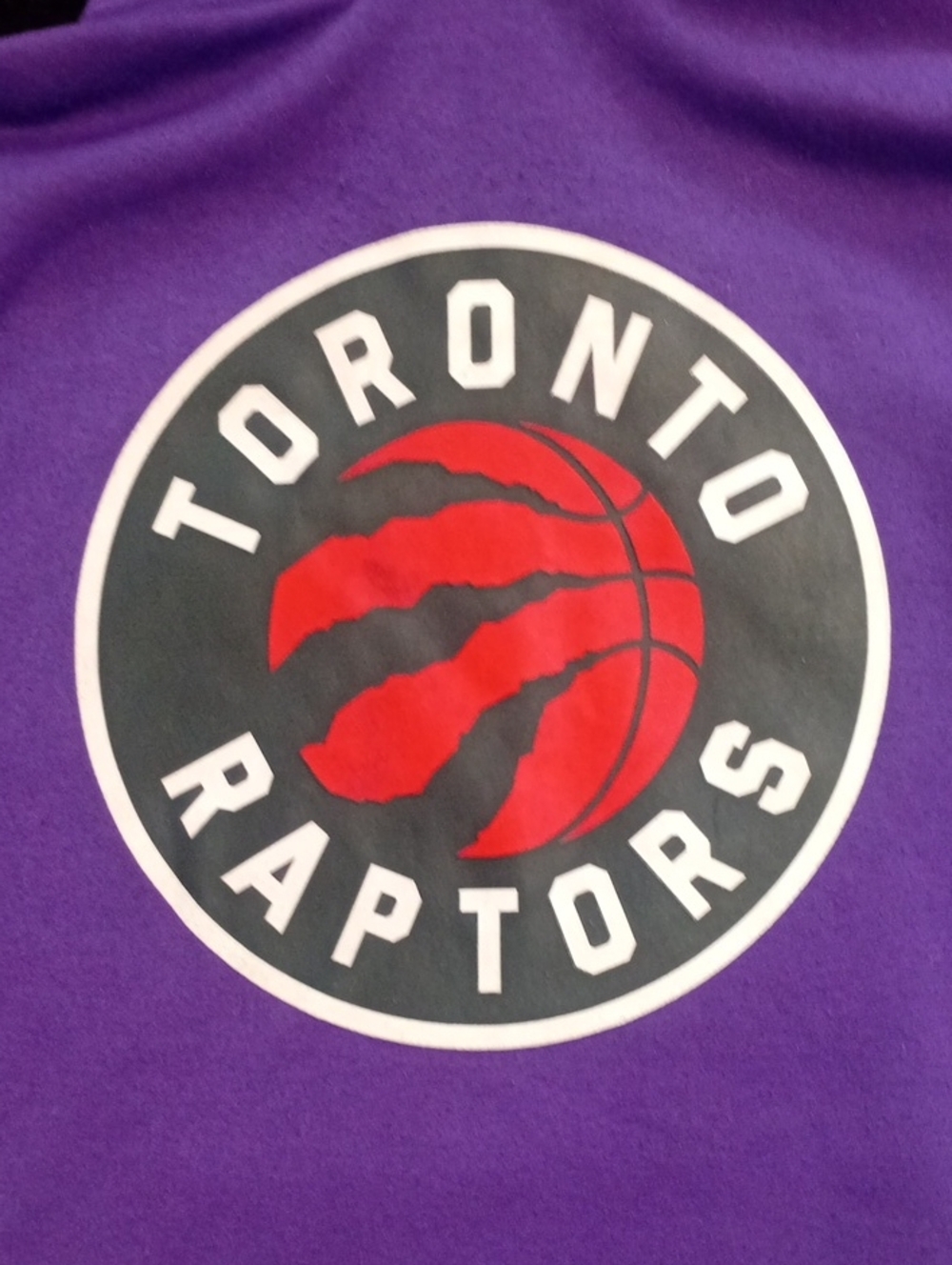 Toronto Raptors Hoodie - Picture 7 of 9